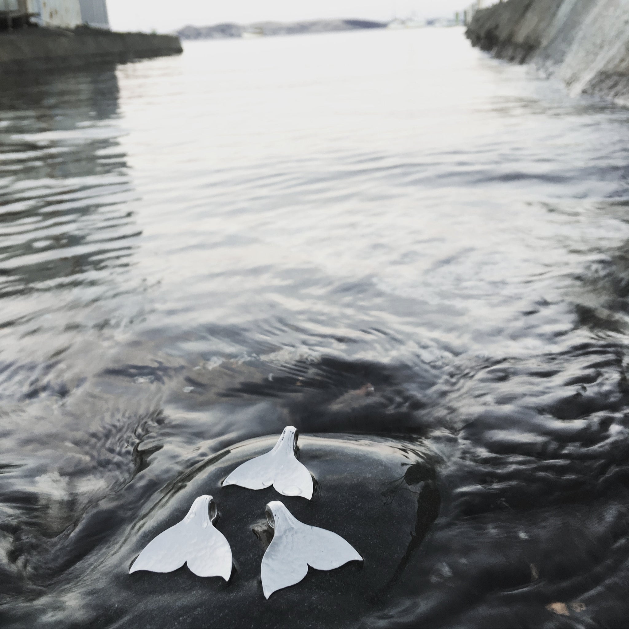 whale tail pendants in the derwent river